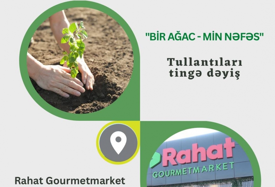 Mərdəkanda tinglərin paylanılması aksiyası keçiriləcək