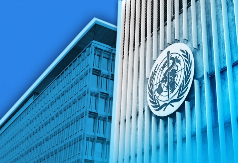 L’OMS : L’hiver menace la vie de millions de personnes en Ukraine