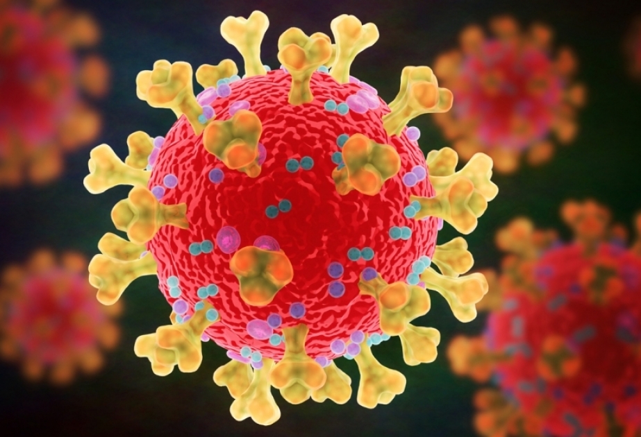 Coronavirus in Aserbaidschan: 58 Neuansteckungen, 2 Todesfälle