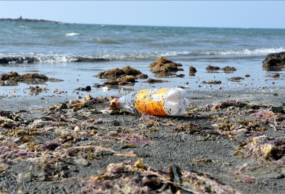 Two-thirds of people support binding rules to end plastic pollution: Survey