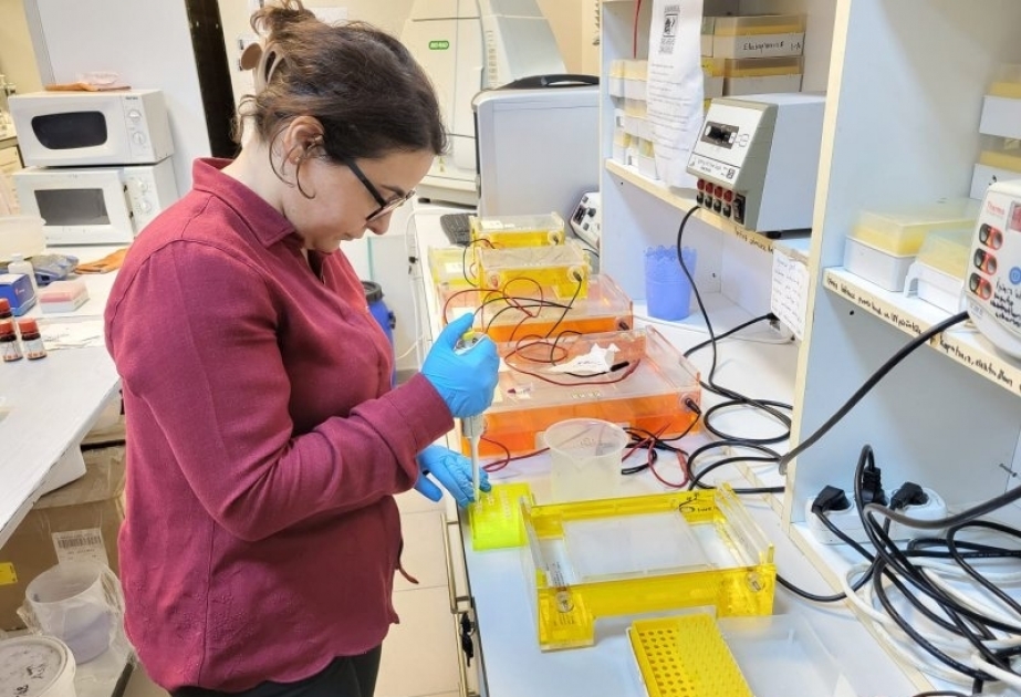 Personal de Universidad Estatal de Bakú participa en una formación en el Instituto de Altas Tecnologías de Izmir