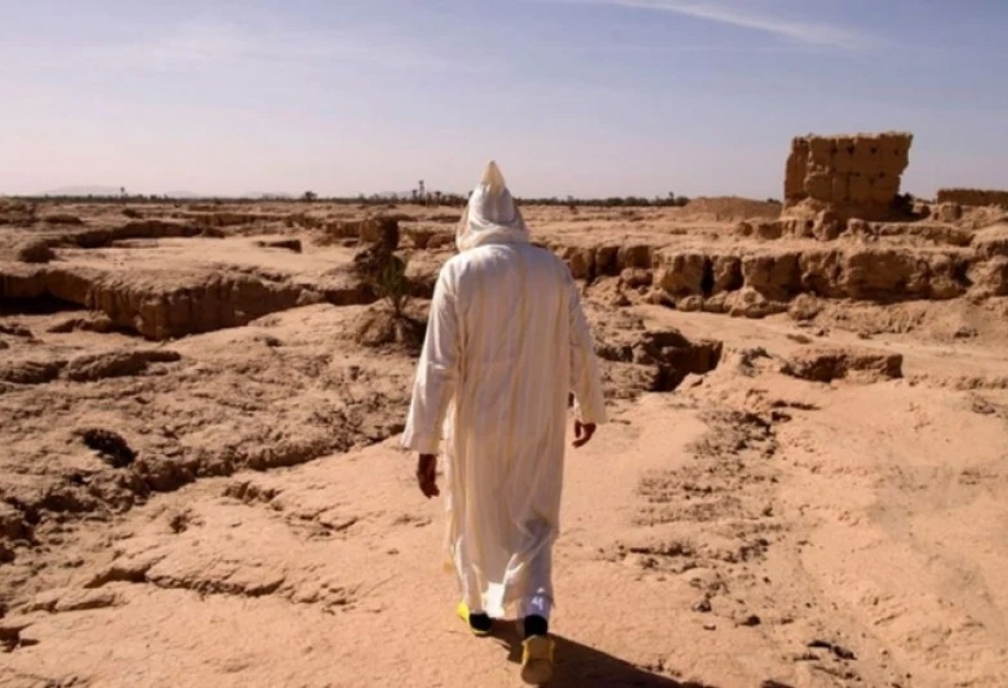 ВМО: Марокко не сталкивалось с такой засухой 40 лет
