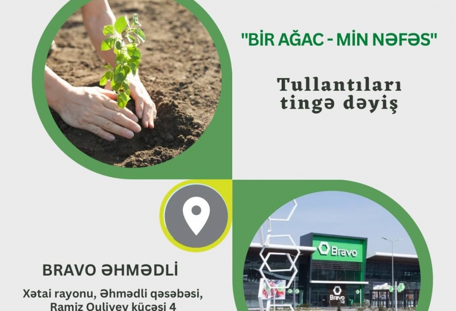 Əhmədli qəsəbəsində ağac tinglərinin paylanılması aksiyası keçiriləcək