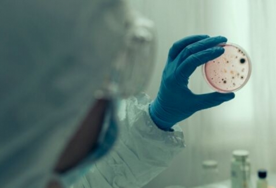 La rougeole : 9 millions de cas ont été enregistrés dans le monde en 2021