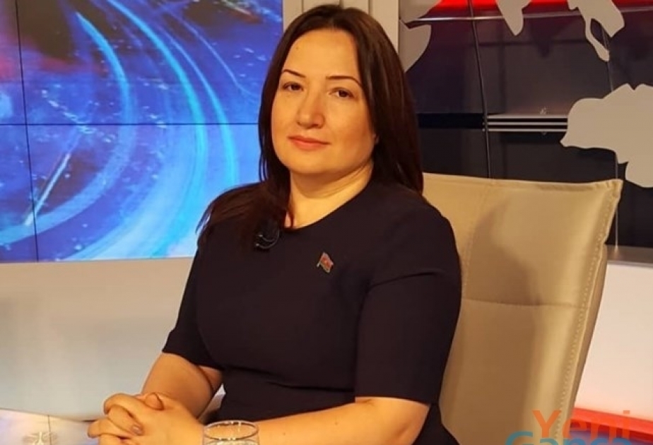Pərvin Kərimzadə: Yeni qanun layihəsi mövcud siyasi sistemin daha da təkmilləşməsinə xidmət edəcək