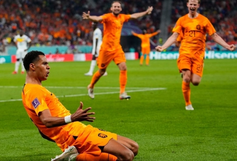 Netherlands draw with Ecuador 1-1, hosts Qatar eliminated from World Cup

