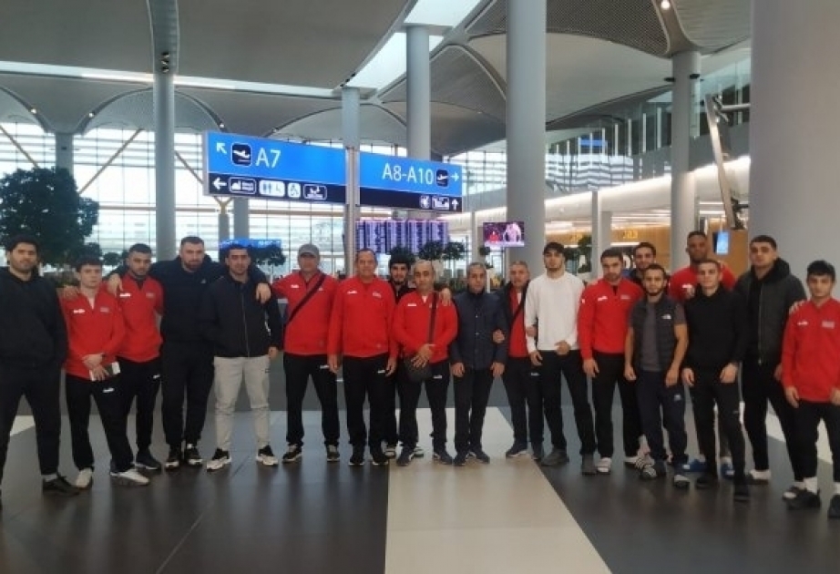 Azerbaijani boxers to embark on international training camp in Madrid