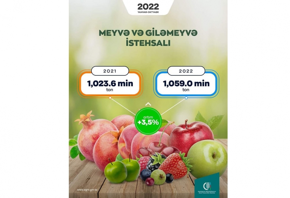 Obst- und Beerenproduktion 2022 um 3,5 Prozent gestiegen