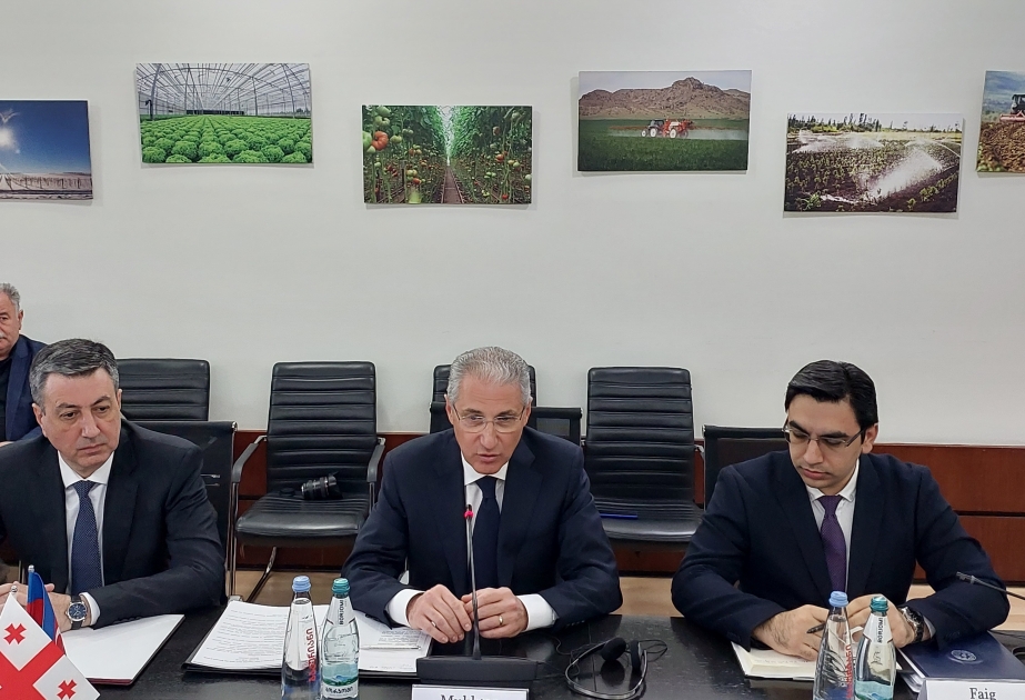 Azerbaiyán entregará varias gacelas a Georgia