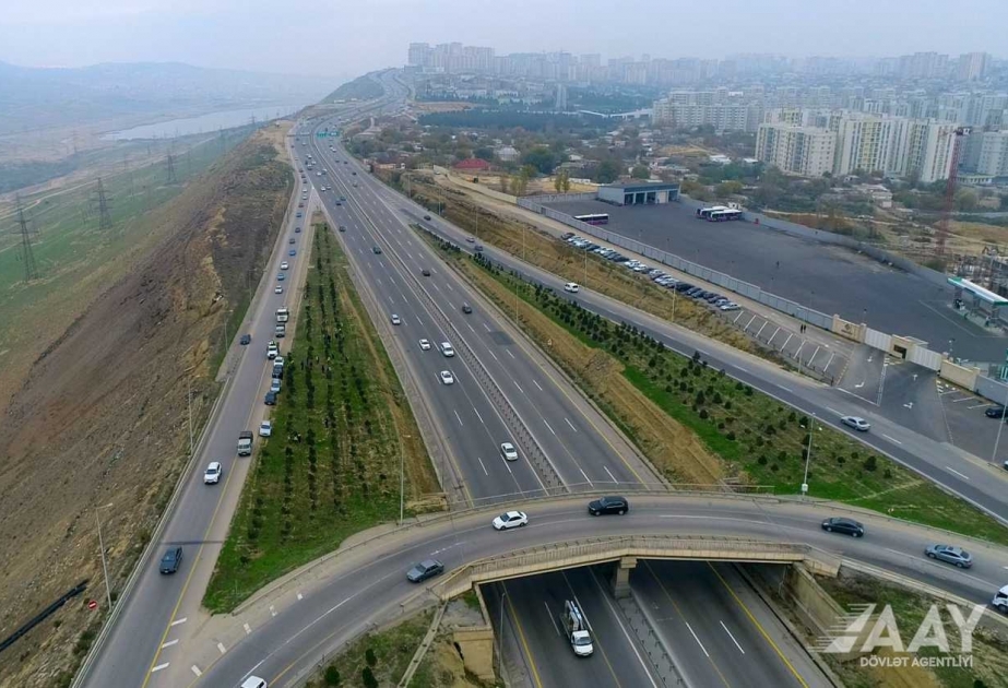 Bakı dairəvi avtomobil yolunun mühafizə zolağında 2000 ədəd ağac əkilib