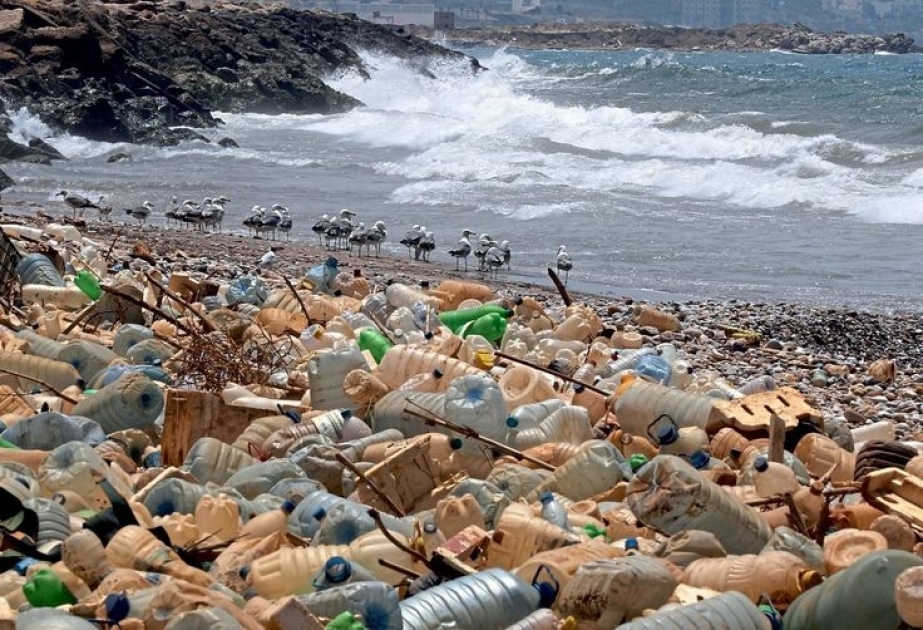 Bis 2024 wollen 200 Länder ein rechtsverbindliches Abkommen gegen Plastikverschmutzung schließen