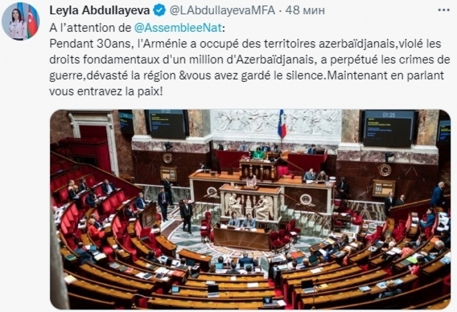 Leyla Abdullayeva commente la résolution de l'Assemblée nationale française à l’encontre de l'Azerbaïdjan : Maintenant en parlant, vous entravez la paix !