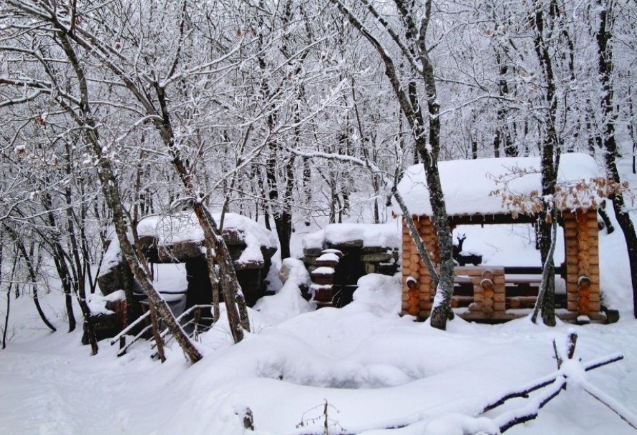 Высота снежного покрова в Алтыагадже составила 9 сантиметров

