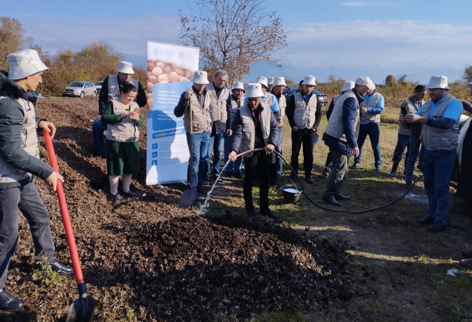 FAO together with Agrarco LLC implements support measures for hazelnut farmers