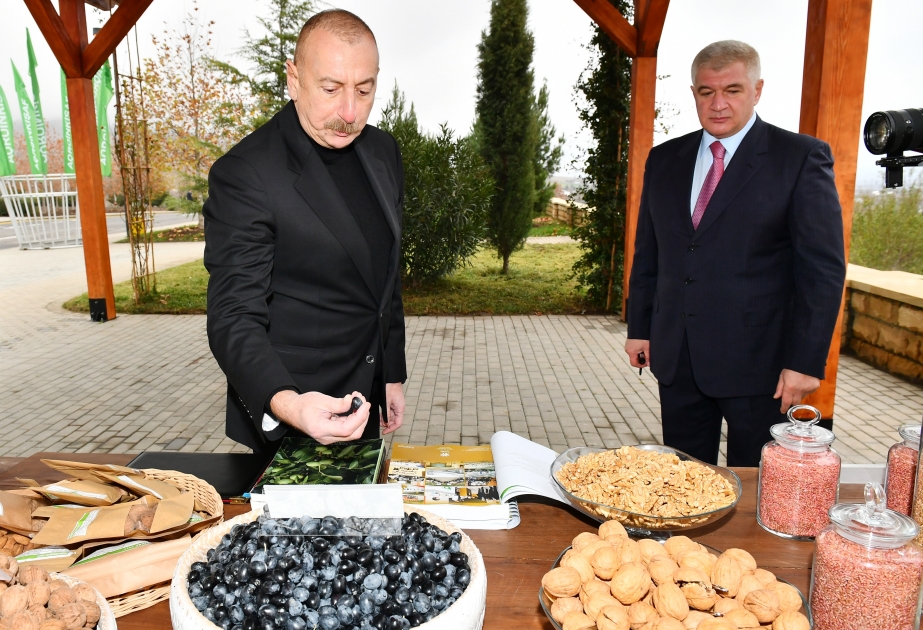 Präsident Ilham Aliyev besucht Agropark “Scheki-Oguz“ geschaffenen Bedingungen VIDEO
