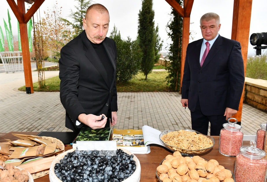 Le président Ilham Aliyev visite l’Agroparc Chéki-Oghouz VIDEO