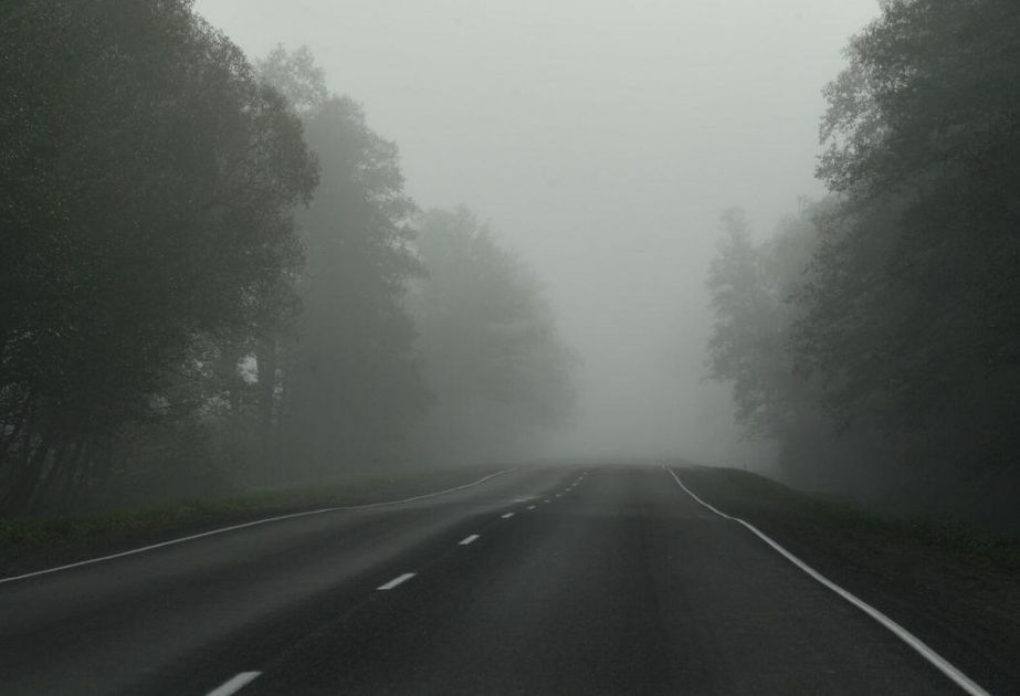 В связи с туманной погодой видимость на некоторых автомобильных дорогах снизится