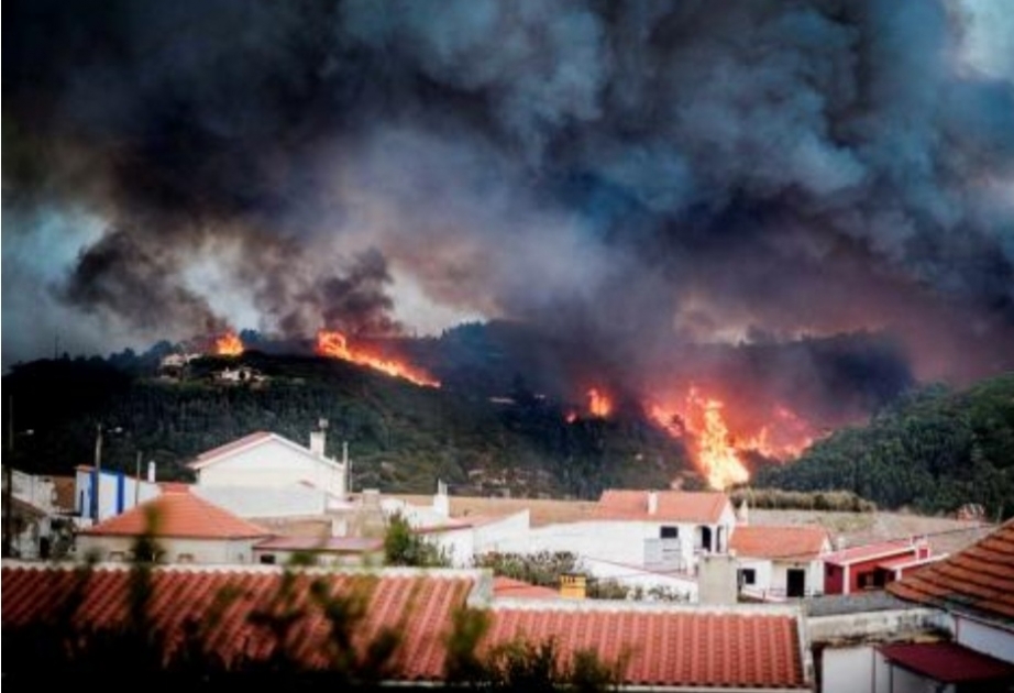 В 2023 году Португалия инвестирует более 250 млн евро в борьбу с пожарами