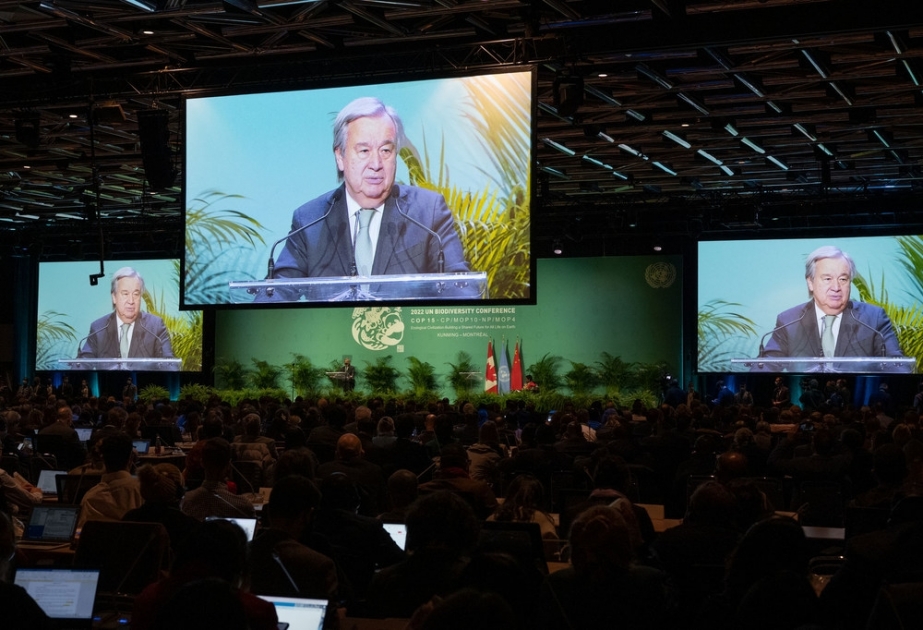 Глава ООН призвал заключить «мирный договор с природой»

