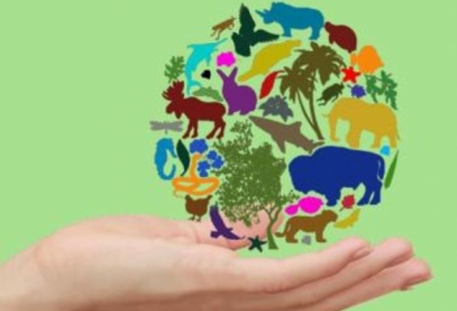COP15 : Nous faisons la guerre à la nature, dénonce le chef de l’ONU