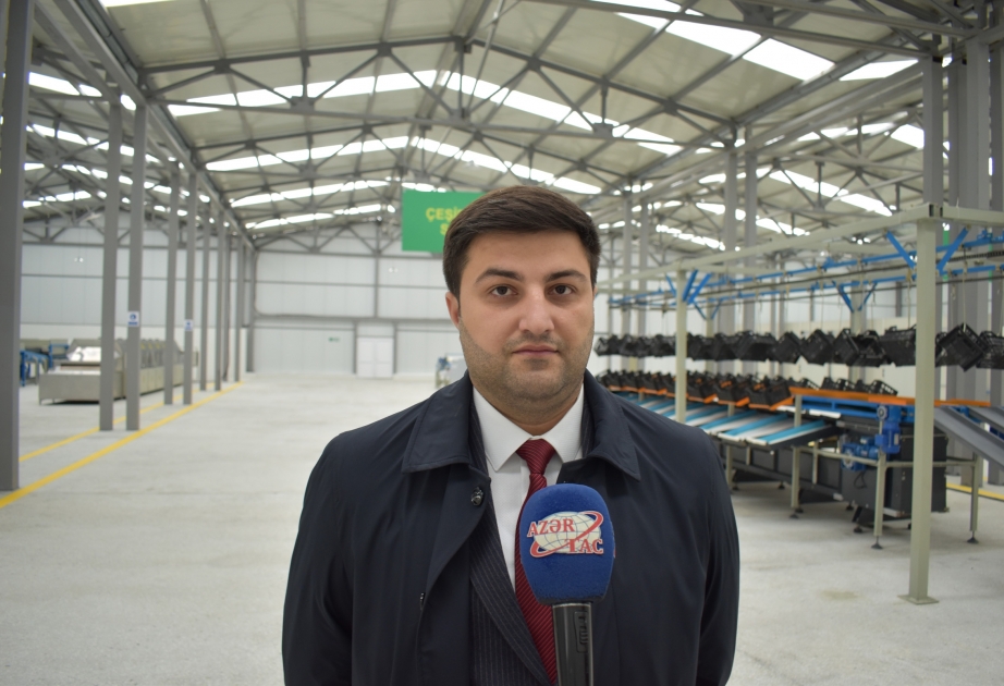“Həddindən çox sifarişimiz var” - “Green Factory”nin direktoru