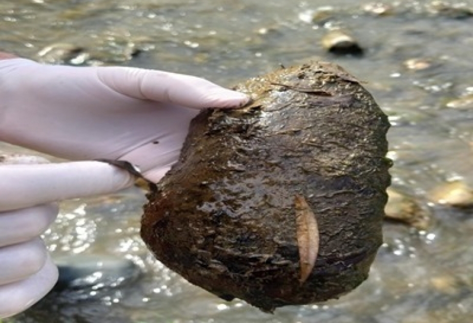 Aumenta la contaminación del río azerbaiyano Okhchuchay con metales pesados