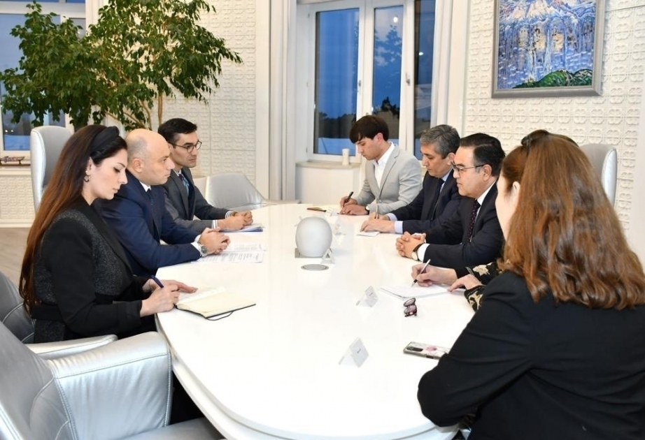 Возможна реализация трехстороннего кинопроекта между Азербайджаном, Узбекистаном и Турцией