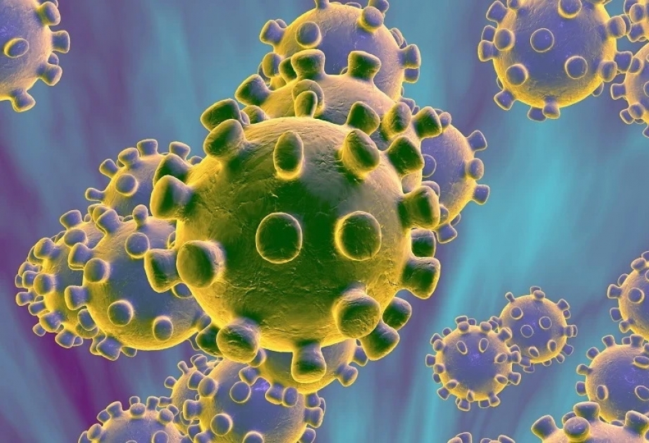 Coronavirus: Mehr Infizierte als Geheilte am Sonntag