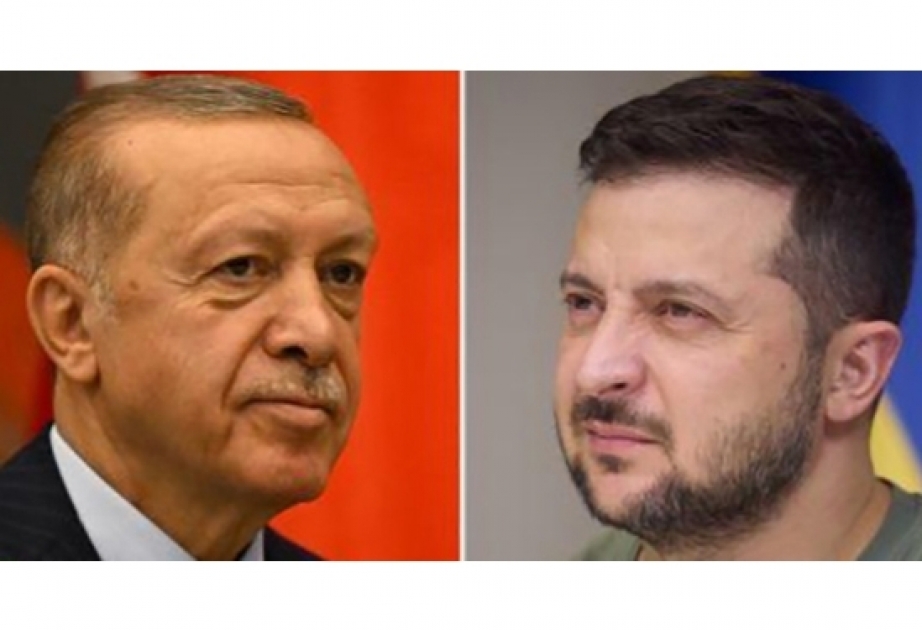 土耳其总统埃尔多安与乌克兰总统泽连斯基通电话

