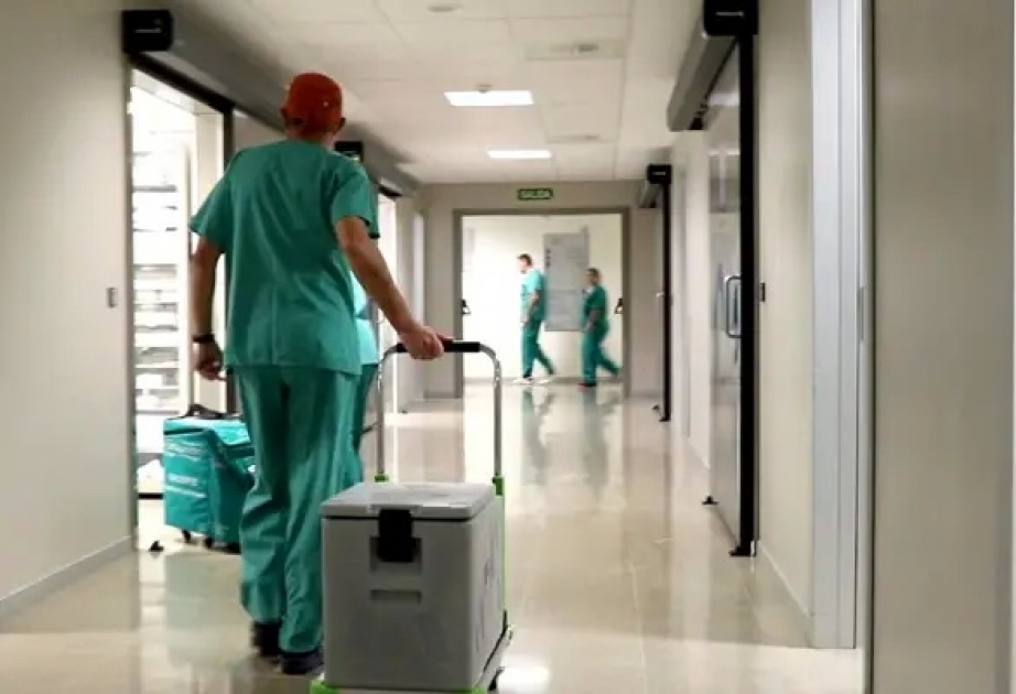 Органы, полученные после эвтаназии, спасли 120 жизней в Испании