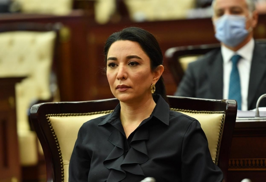 Ombudsman: Rusiya sülhməramlılarının azərbaycanlı fəalların etiraz aksiyasına mane olmasını pisləyirik