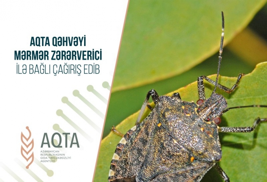 Qida Təhlükəsizliyi Agentliyindən əhaliyə çağırış