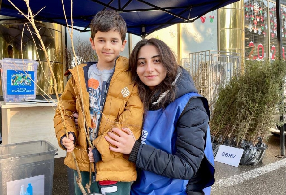 Nəsimi rayonunda vətəndaşlara ağac tingləri paylanılıb