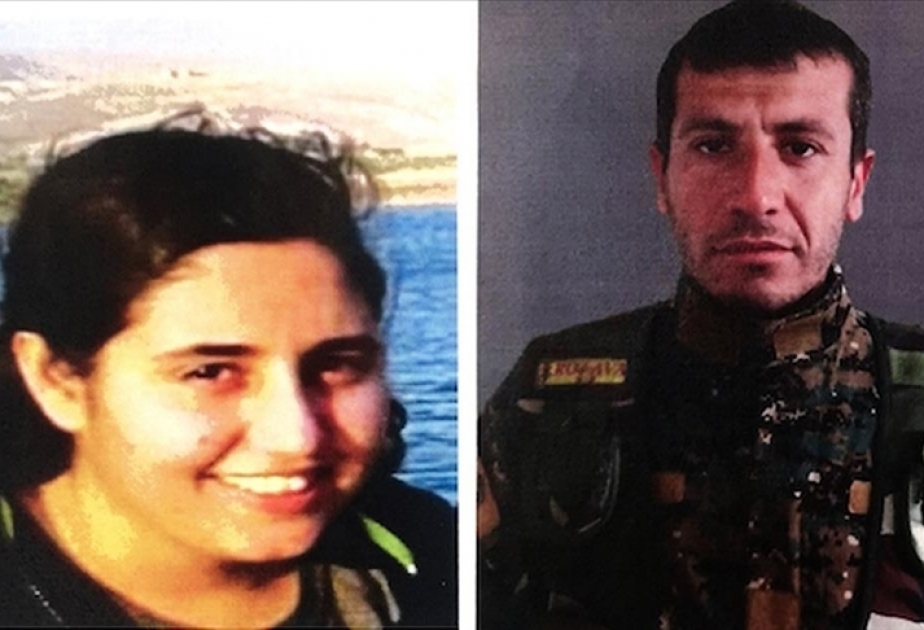 PKK terror təşkilatına növbəti zərbə