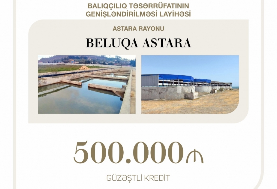 Balıqçılıq təsərrüfatının genişləndirilməsi layihəsinə güzəştli kredit ayrılıb