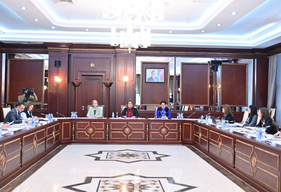 Milli Məclisdə Ailə, qadın və uşaq məsələləri komitəsinin illik hesabatı dinlənilir