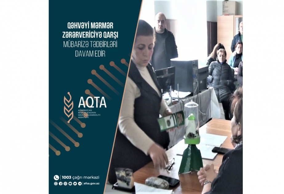 Balakəndə sakinlər qəhvəyi mərmər zərərvericiyə qarşı mübarizə ilə əlaqədar məlumatlandırılıb