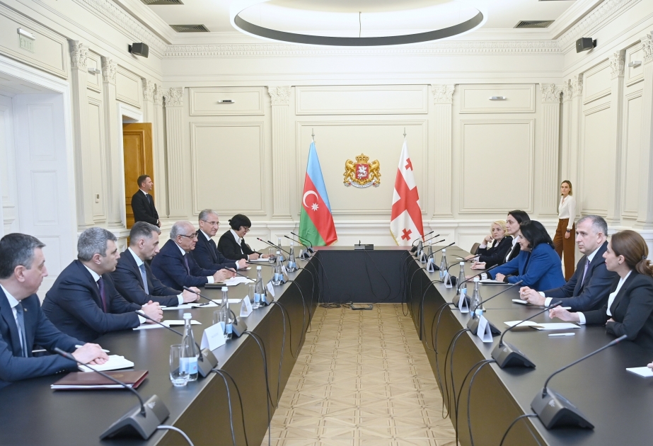 Azerbaijani Prime Minister meets with Georgian President in Tbilisi