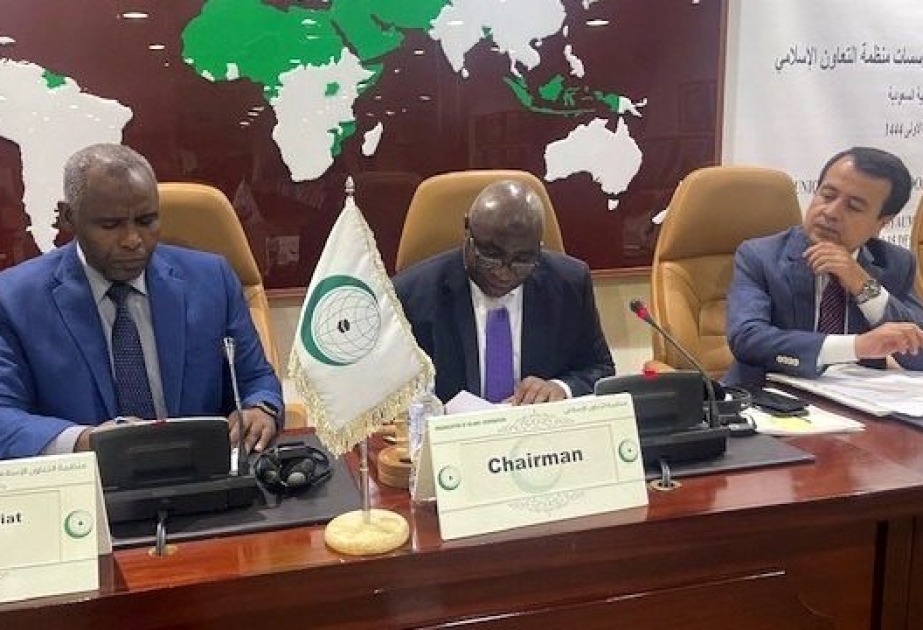 L’ICESCO prend part à la 6ème réunion de coordination des organes de l’OCI