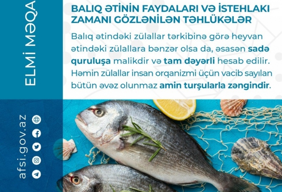 Balıq ətinin faydaları və istehlakı zamanı gözlənilən təhlükələr