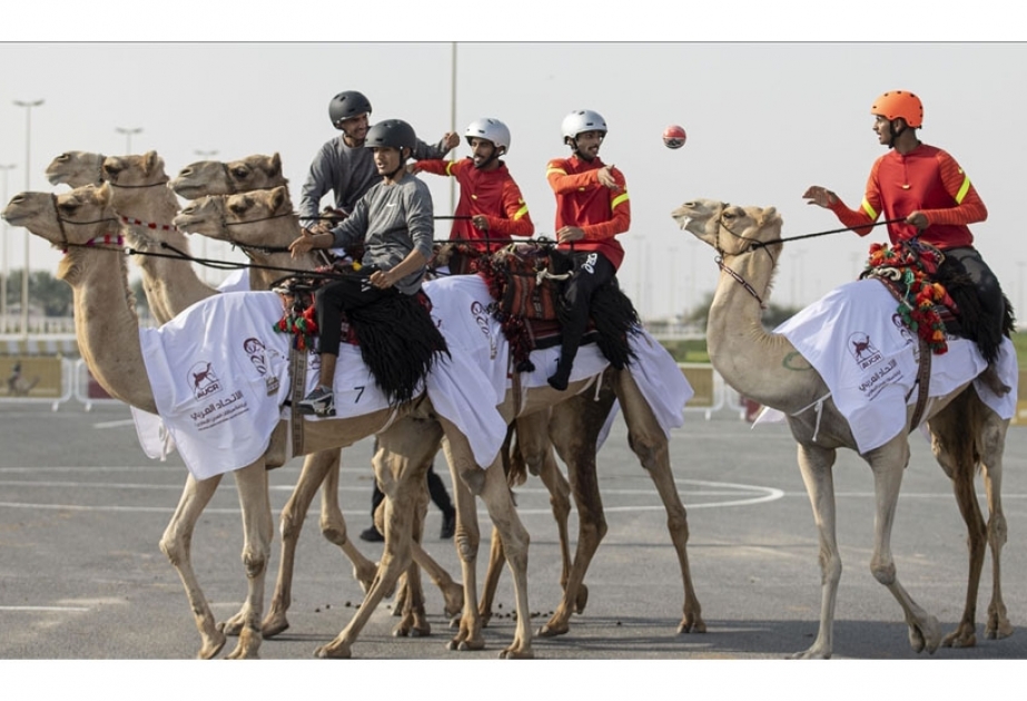 People play handball on camels in Qatar