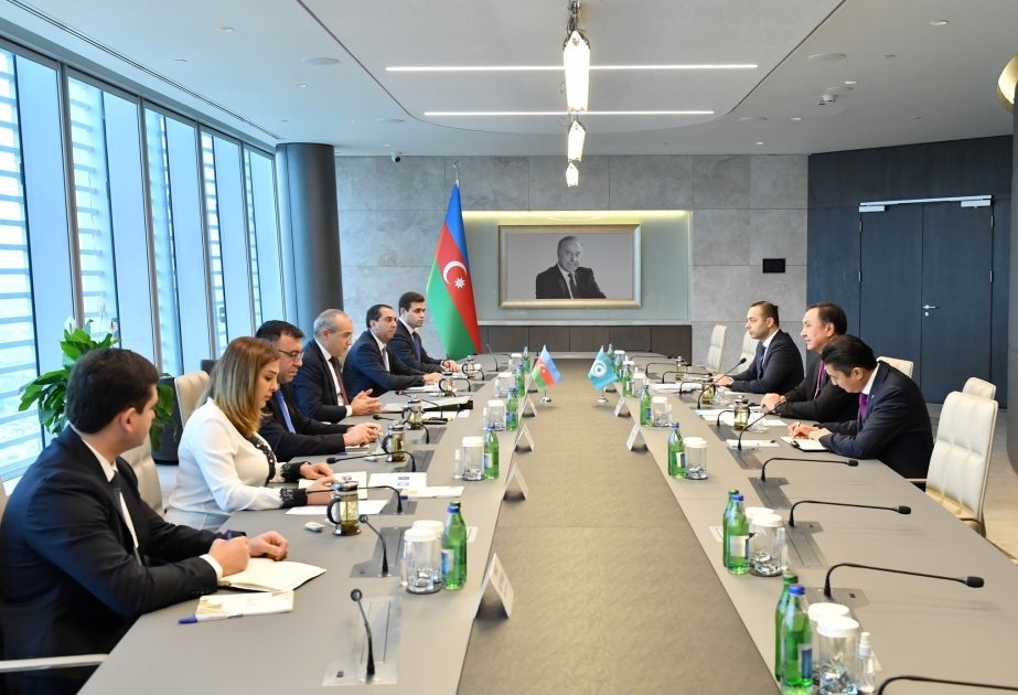Creation of platforms for strengthening of economic relations between OTS member states discussed