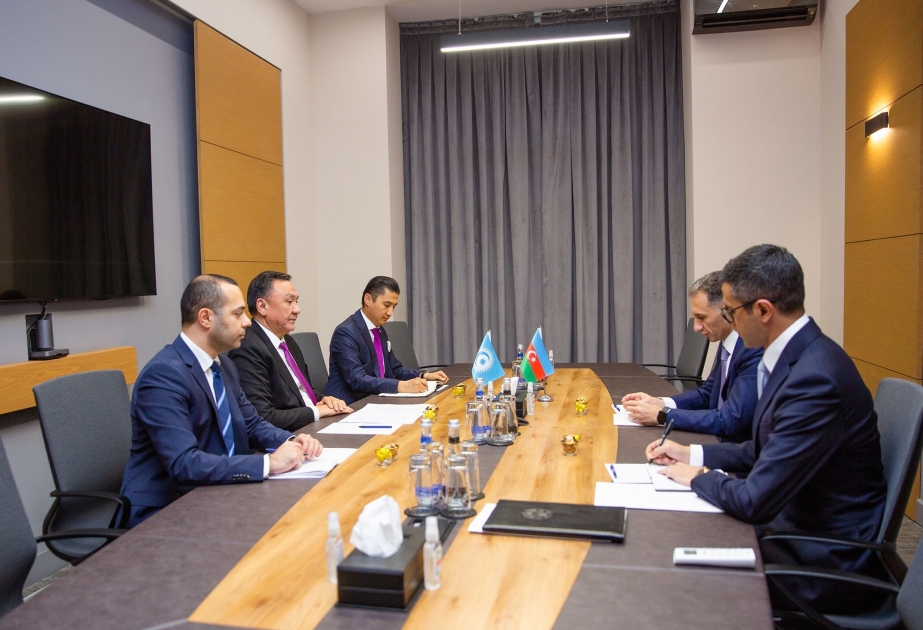 Azerbaijan, Organization of Turkic States discuss cooperation in fields of transport and ICT