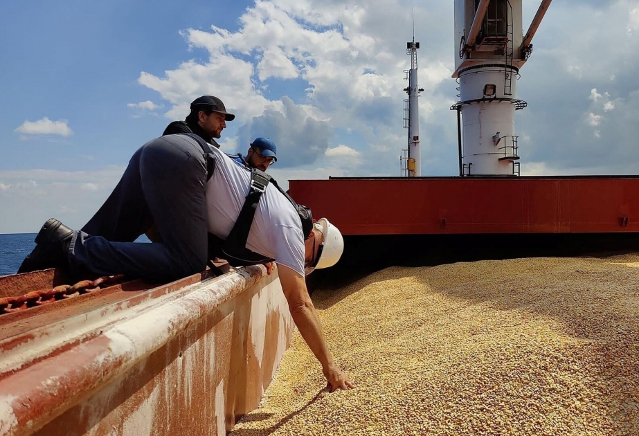 Ucrania exporta más de 14 millones de toneladas de cereales en el marco del acuerdo de exportación