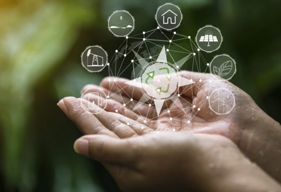 Environnement numérique : l’UNESCO lance un nouveau projet