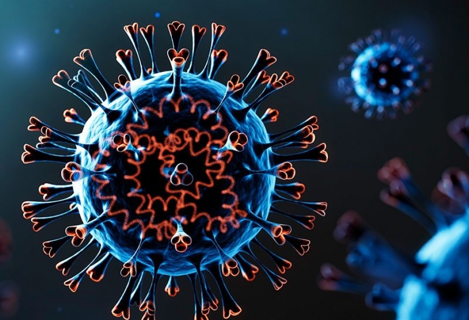 Coronavirus in Aserbaidschan: 11 Neuinfizierte, 10 Genesungen