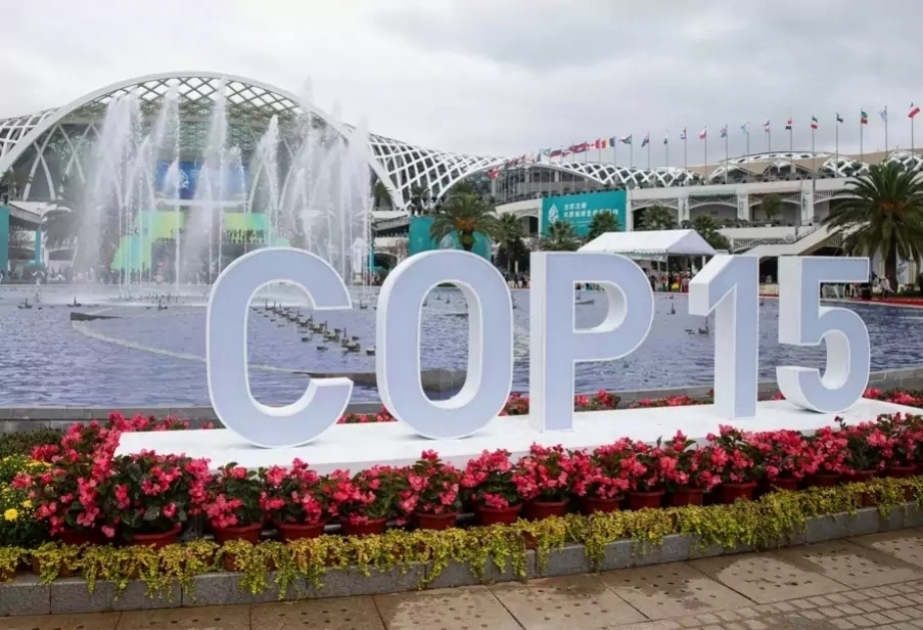 La COP15 s’est conclue par un accord visant à protéger 30% des terres, des zones côtières et des eaux intérieures de la planète