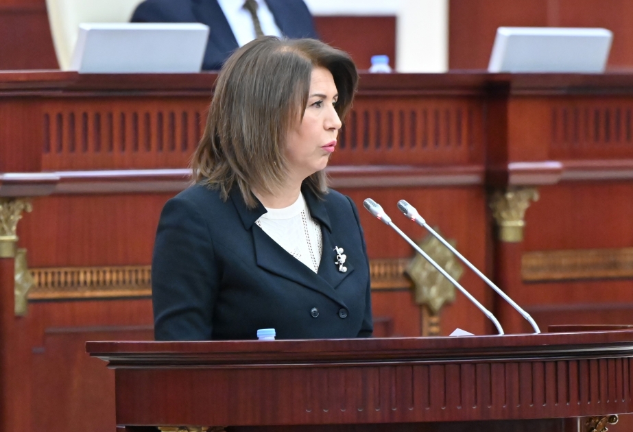 Füzuli və Zəngilanda ailə dəstək mərkəzlərinin yaradılması planlaşdırılır
