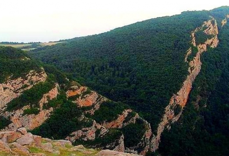 “Şuşa-Qarabağın dünəni, bu günü, sabahı”: Topxana meşəsi