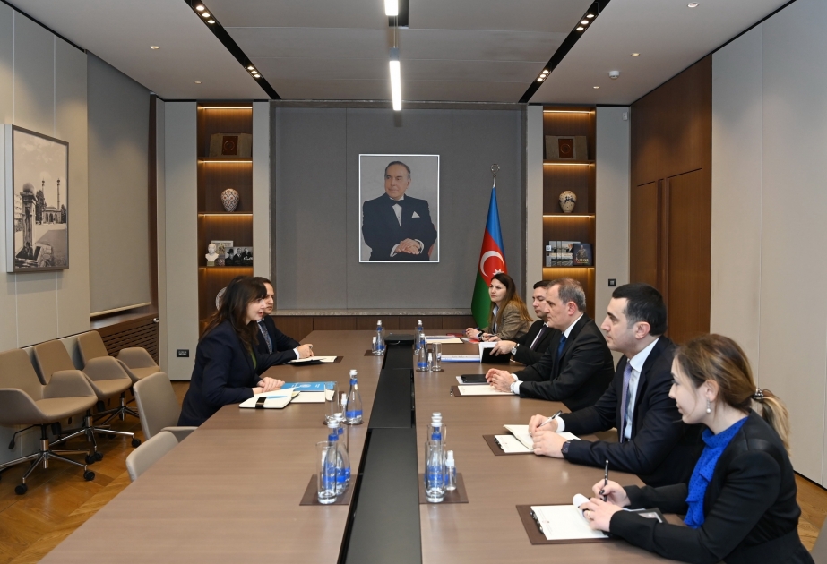 Резидент-координатор ООН в Азербайджане проинформирована о минной угрозе
